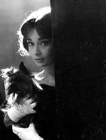 Audrey Hepburn 19291993 Link to official website Audrey Hepburn 19291993 Link to official website